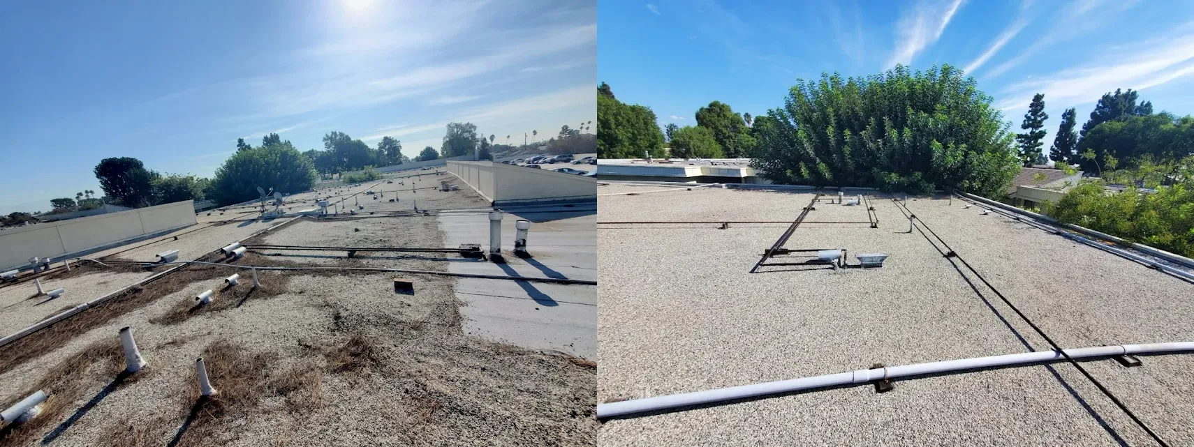 Roof Maintenance Services