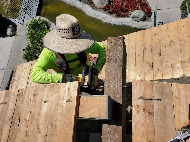 Roof Maintenance Services